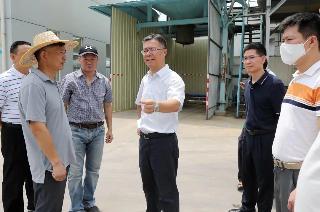 綠潤新聞 | 金灣區(qū)委書記帶隊(duì)考察，三灶項(xiàng)目再獲認(rèn)可